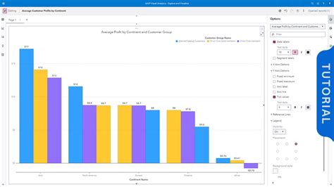 SAS Creating a Report కోసం చిత్ర ఫలితం