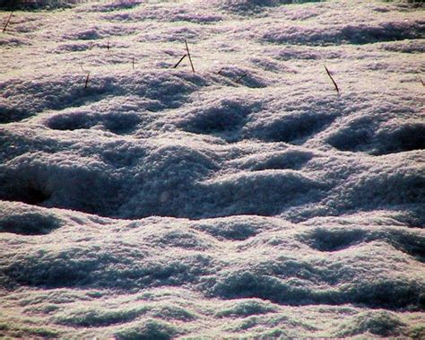 Minecraft Sand Pattern WorldEdit に対する画像結果