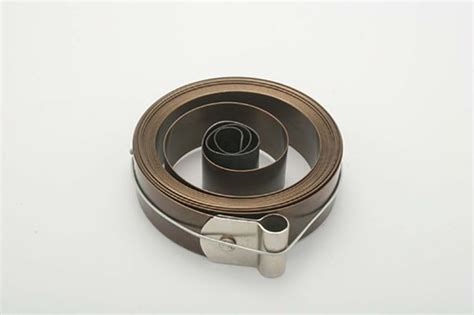 Image result for Spring Center Loop End