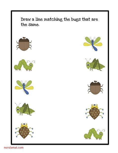 Toradh íomhá ar Insect Matching Worksheet