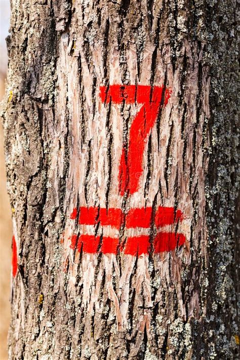 Image result for Tree Symbol Number