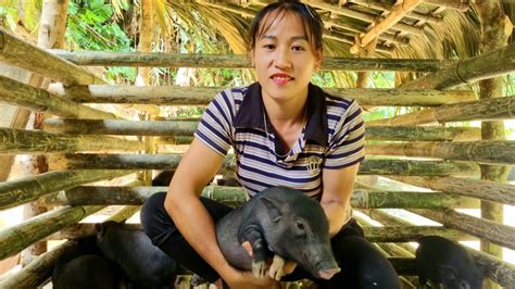 How to Make Pig Trough に対する画像結果