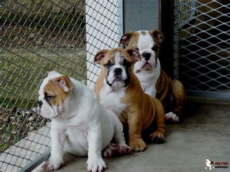 Image result for Line Up Single File