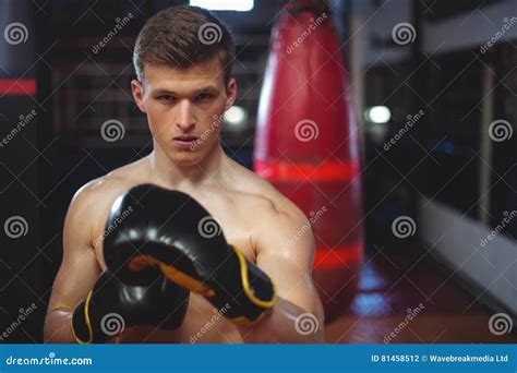 Image result for Classic Boxer Stance