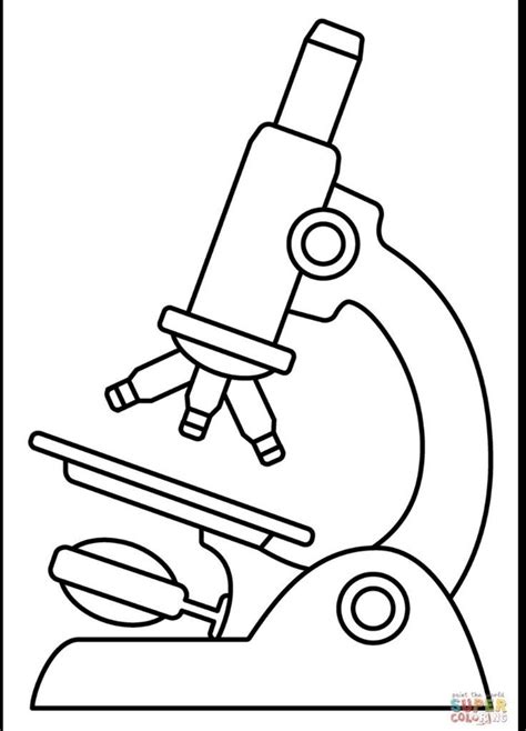 Compound Microscope Drawing without Label に対する画像結果