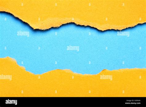 Paper Text Background に対する画像結果