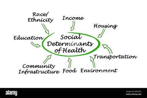 Toradh íomhá ar Determinants of Health