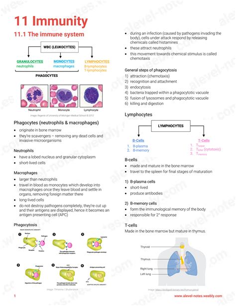 Immunity Biology に対する画像結果