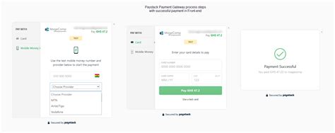 Image result for Paystack Payment