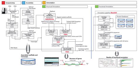 Image result for Genomic Analysis