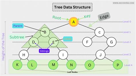 Image result for Trees in Data Structure Hand Written Notes