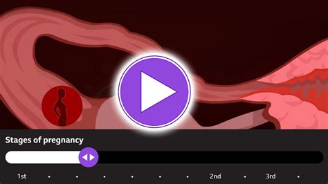 Image result for Human Reproduction Live Study