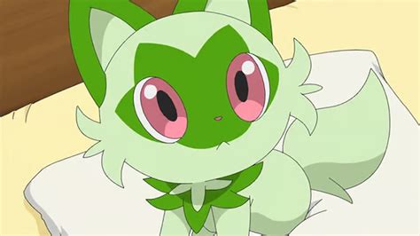 Springatito Weird എന്നതിനുള്ള ഇമേജ് ഫലം