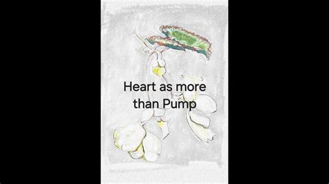 Image result for HeartMath Org