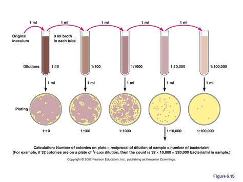 Afbeeldingsresultaten voor Microbial Growth Control