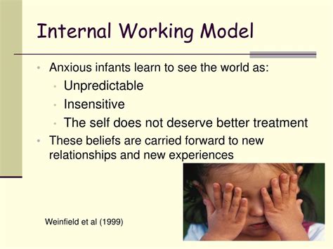 Image result for Internal Working Model