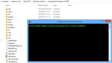 Sqlmap File 的图像结果