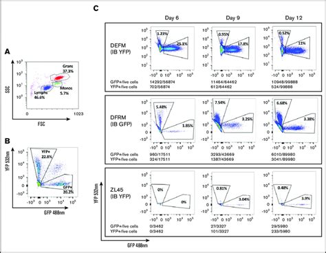 Afbeeldingsresultaten voor GFP Scatter Plot Flow Cytometry