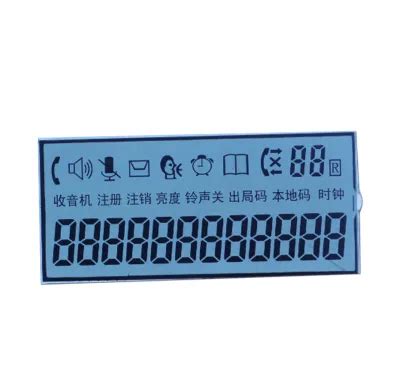 Image result for Monochrome 12-Digit Display