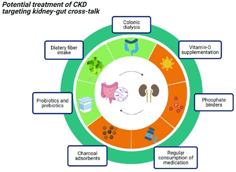 Potential treatment options in CKD patients within the context of a ...
