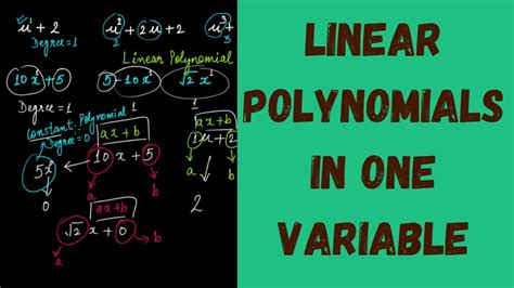 Image result for Best Example of Polynomial in One Variable