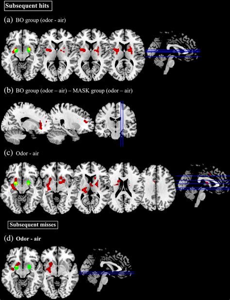 Afbeeldingsresultaten voor Psychology Encoding Significant