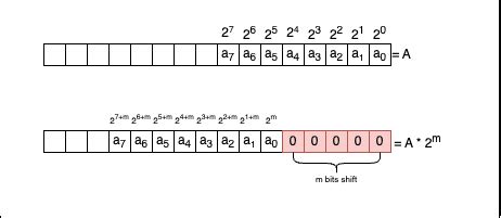 Image result for Bitwise Multiplication