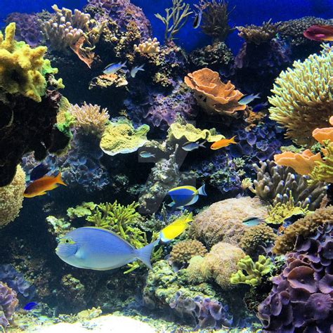 Real Life Computer Models に対する画像結果