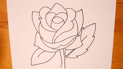 Image result for Basic Draw Rose