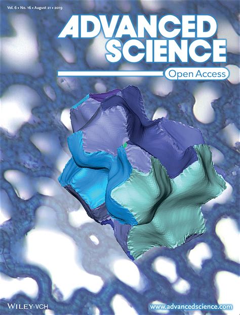 Image result for Advanced Science G Stylios