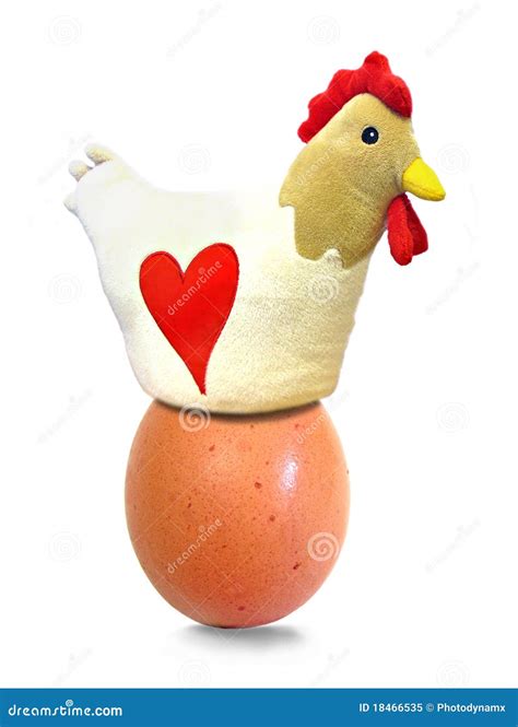 Image result for Chicken Egg Warmer Patern