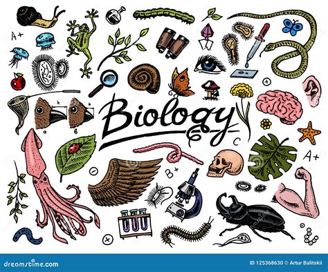 Image result for Biological Development Icon
