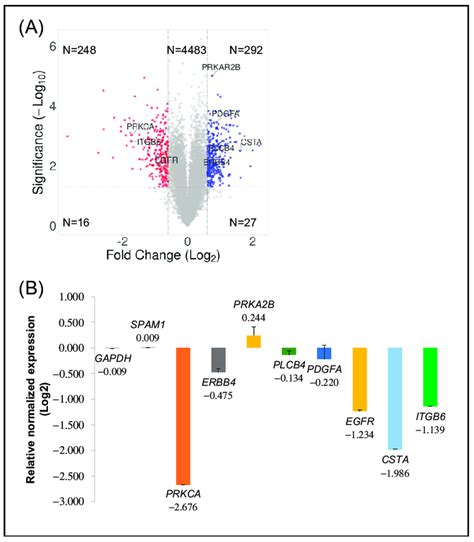 Transcriptomics Volcano Plot に対する画像結果