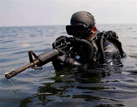 Image result for Navy SEALs Kimlerdir