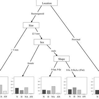 Multivariate Decision Tree に対する画像結果