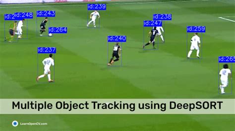 Toradh íomhá ar Sort Multi Object Tracking