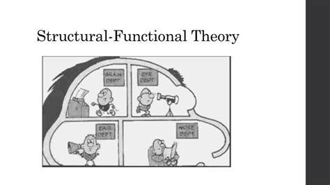 Structural-functionalism Real Life Examples に対する画像結果