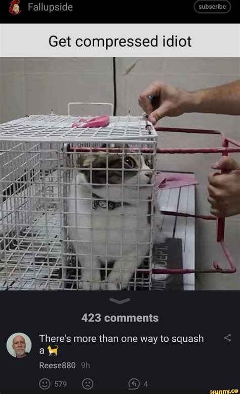 Toradh íomhá ar Compress Fun Meme