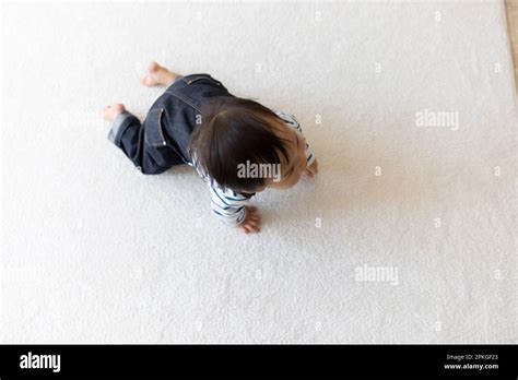 Crawling Fetus に対する画像結果