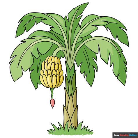 Toradh íomhá ar How Do I Draw in Java