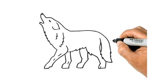 Image result for Simple Wolf Drawing