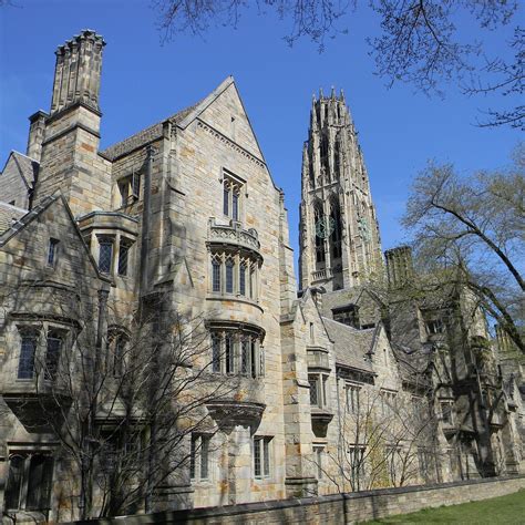 Image result for Yale