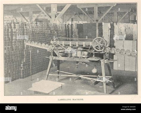 Labelling Machin eLearning に対する画像結果