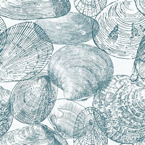 Image result for Shell Fine Line Drawing