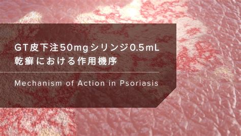 GVT Tablets に対する画像結果