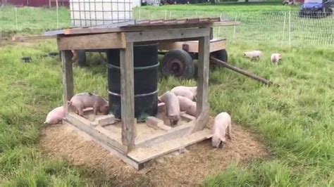 How to Make Pig Trough に対する画像結果