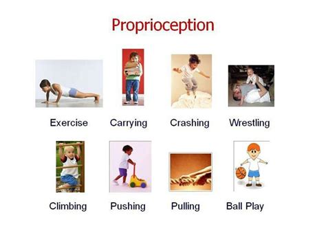 Toradh íomhá ar Proprioception Exercises for Ankle