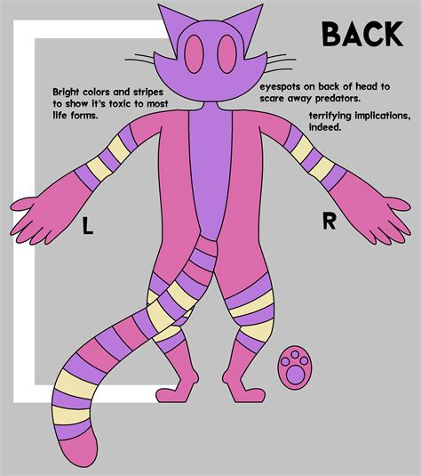 Image result for Pounce Back View Reference