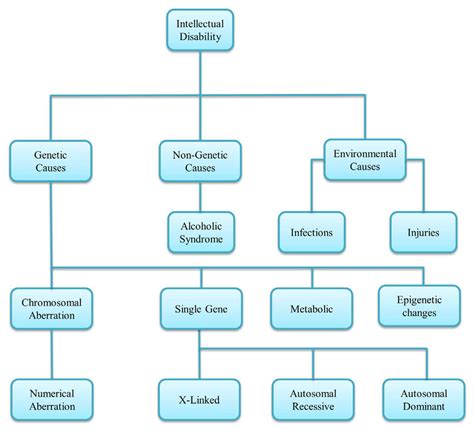 Image result for Different Types of Intellectual Disability