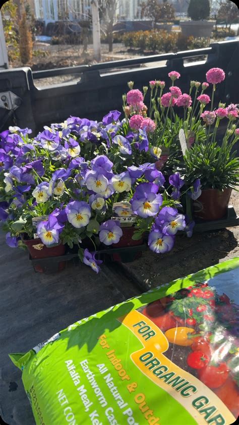 Image result for Garden Answer Latest